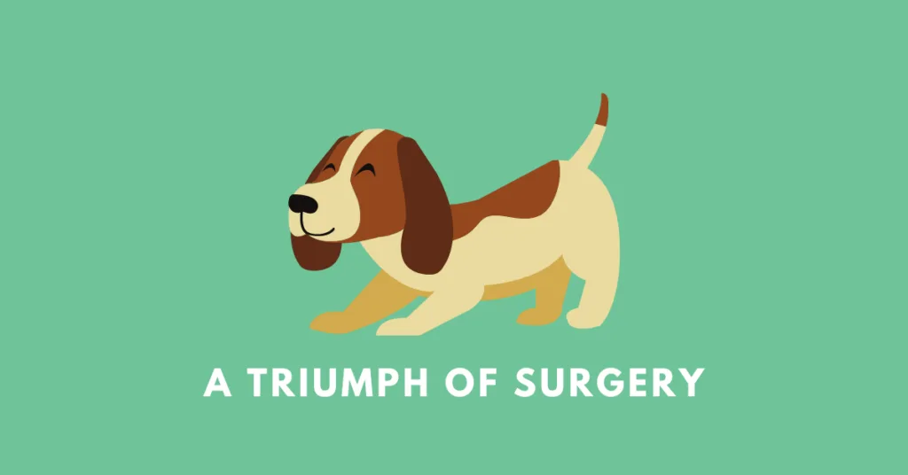 A Triumph Of Surgery Thumbnail