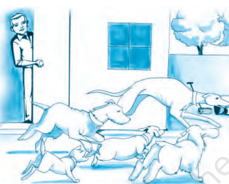how does he treat the dog